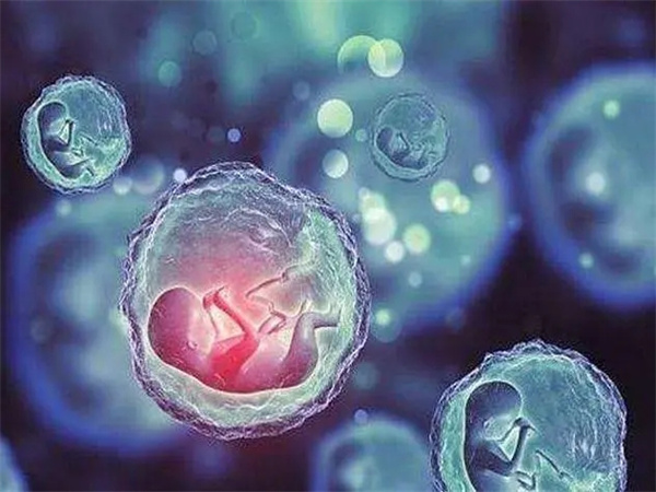 3段奶粉如何正确转奶？方法有哪些？